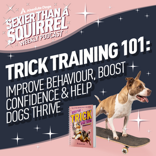 Trick Training 101: Improve Behaviour, Boost Confidence & Help Dogs Thrive