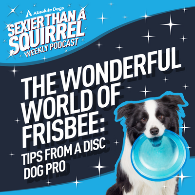 The Wonderful World of Frisbee: Tips from a Disc Dog Pro