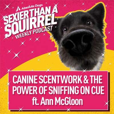 Canine Scentwork & The Power of Sniffing on Cue ft. Ann McGloon