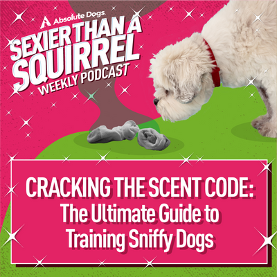 Cracking the Scent Code: The Ultimate Guide to Training Sniffy Dogs