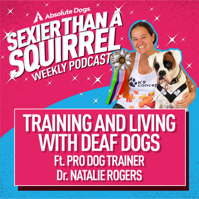 Training and Living with Deaf Dogs ft. Dr. Natalie Rogers