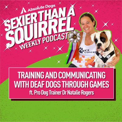 Training and Communicating with Deaf Dogs through Games ft. Dr Natalie Rogers