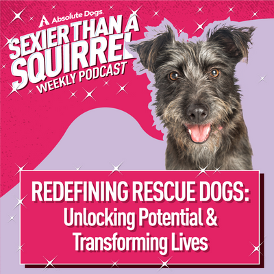 Redefining Rescue Dogs: Unlocking Potential & Transforming Lives