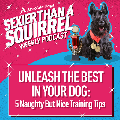 Unleash the Best in Your Dog: 5 Naughty But Nice Training Tips