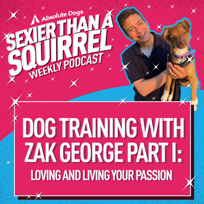 Dog Training with Zak George Part I: Loving and Living Your Passion