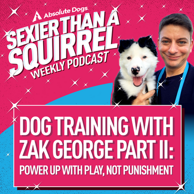 Dog Training with Zak George Part II: Power Up with Play, Not Punishment