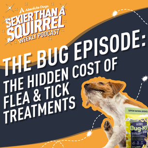 The Bug Episode: The Hidden Cost of Flea & Tick Treatments