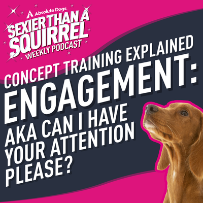 Concept Training Explained: Engagement aka Can I Have Your Attention Please?