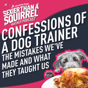 Confessions of a Dog Trainer: The Mistakes We've Made and What They Taught Us