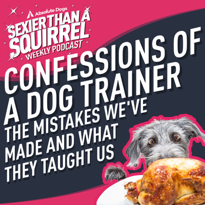 Confessions of a Dog Trainer: The Mistakes We've Made and What They Taught Us