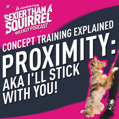 Concept Training Explained: Proximity aka I'll Stick With You