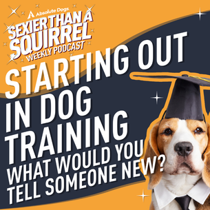 Starting Out in Dog Training: What Would You Tell Someone New?