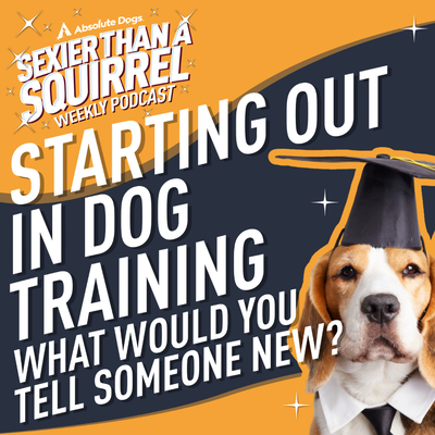 Starting Out in Dog Training: What Would You Tell Someone New?