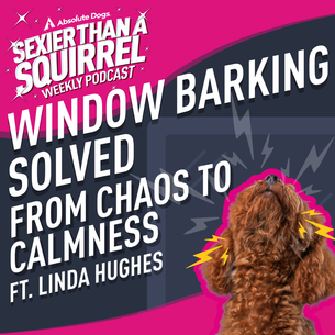 Window Barking Solved: From Chaos to Calmness ft. Linda Hughes