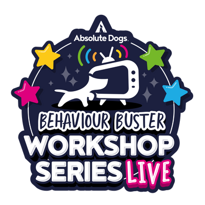 Behaviour Buster Workshop Series Live