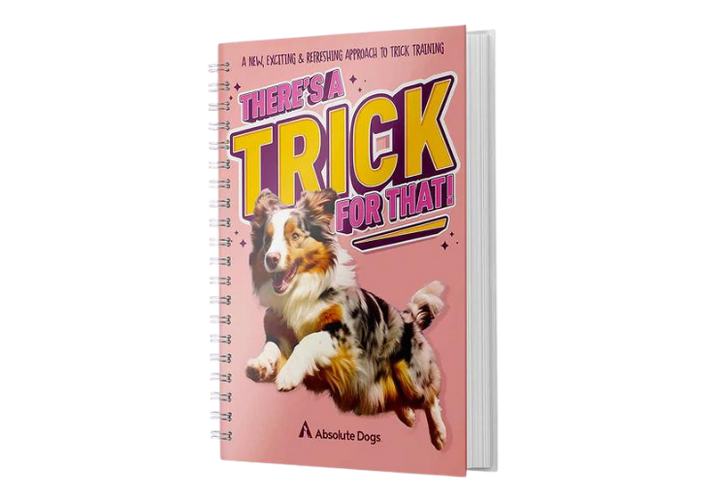 There's A Trick for That!