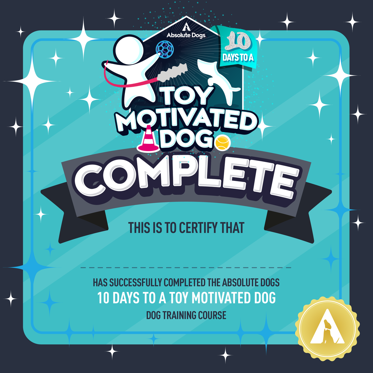 10 Days to a Toy Motivated Dog