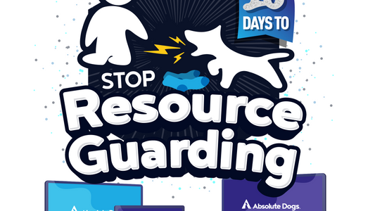 10 Days to Stop Resource Guarding