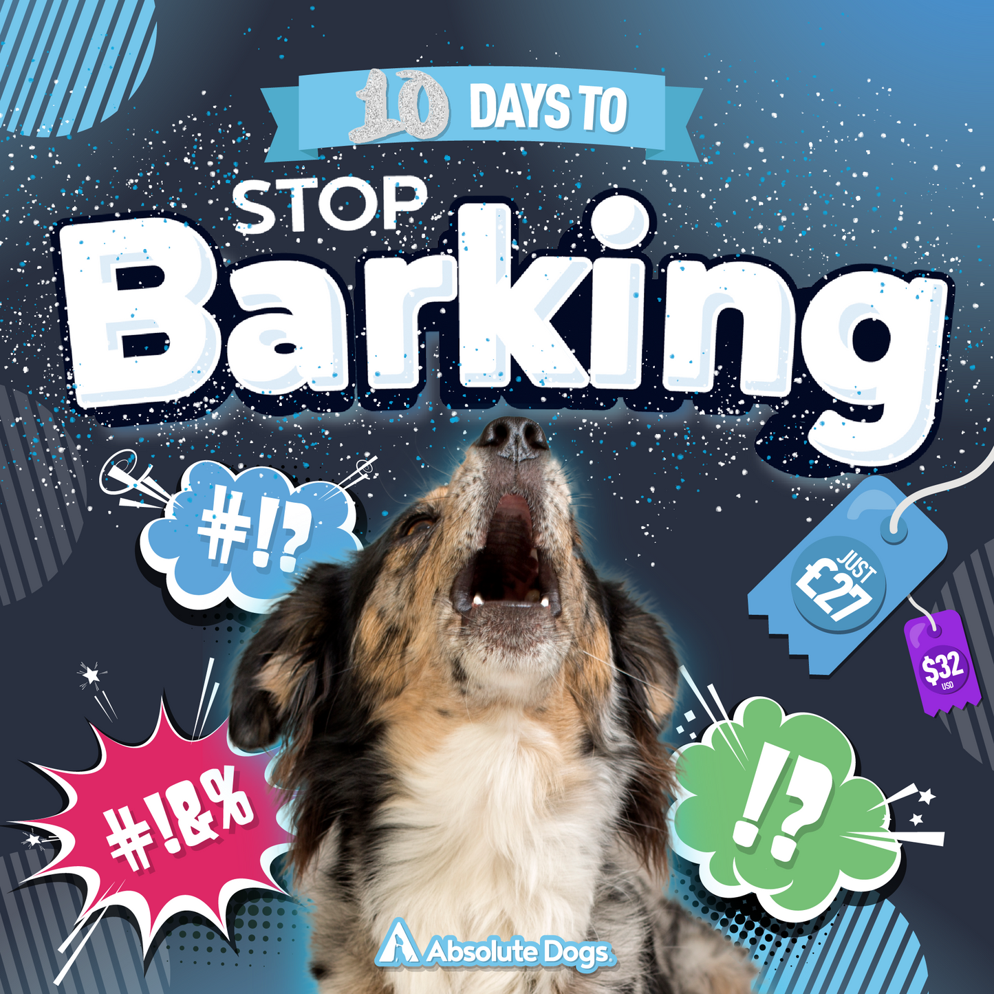 10 Days To Stop Barking!