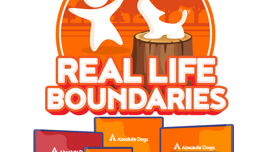 Real Life Boundaries