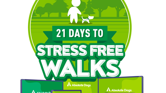 21 Days To Stress Free Walks