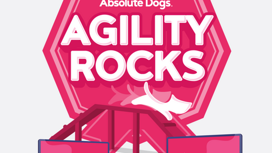 Agility Rocks