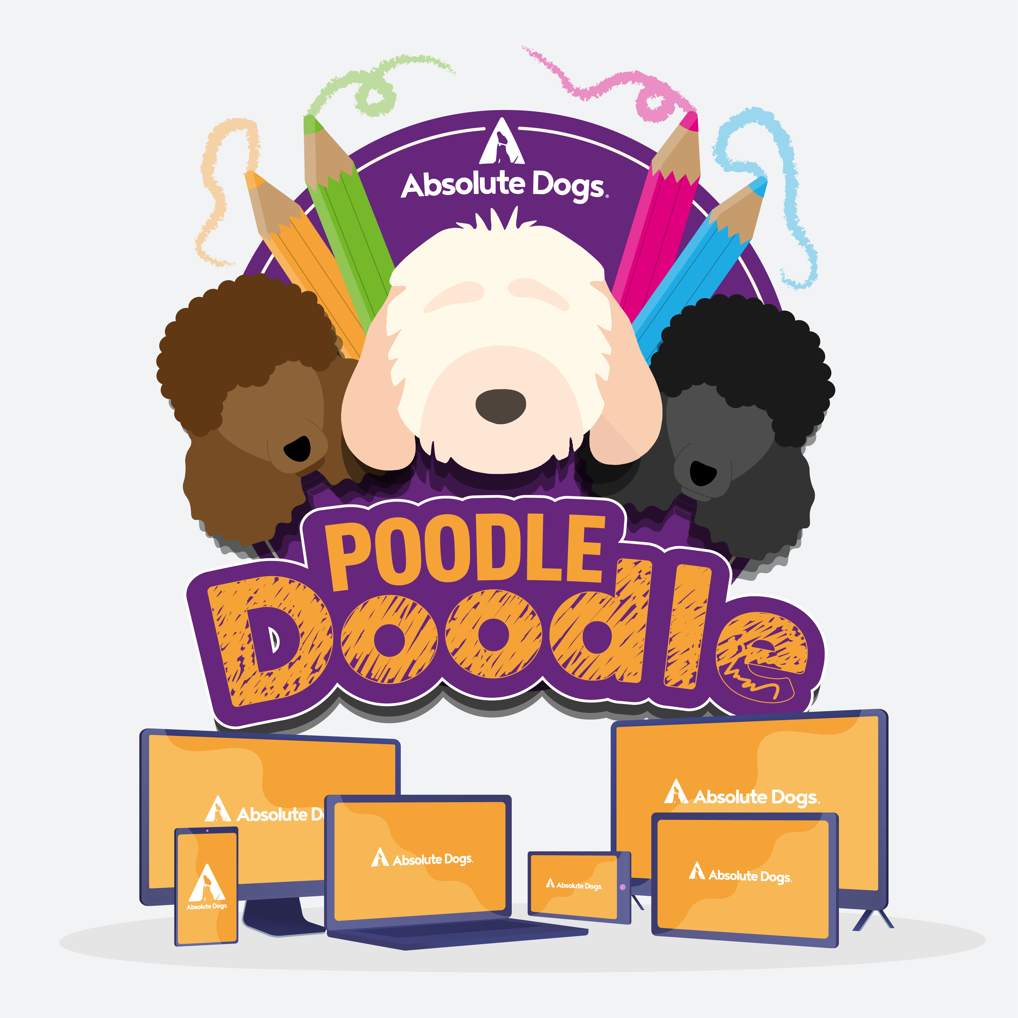 How To Train Your Poodle Doodle Online Dog Training Course – Absolute Dogs