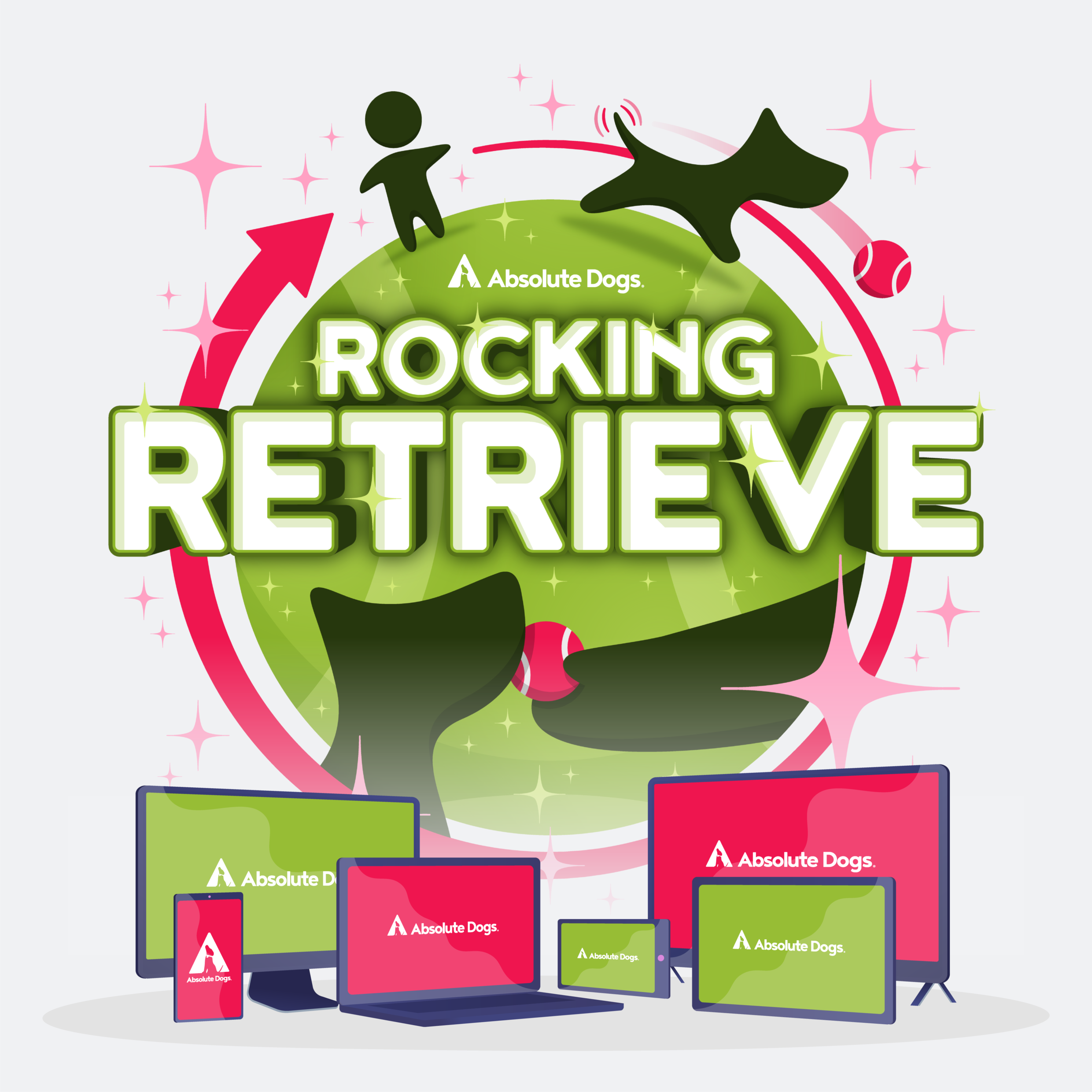 Retrieve Dog Training with Absolute Dogs Rocking Retrieve Online Course