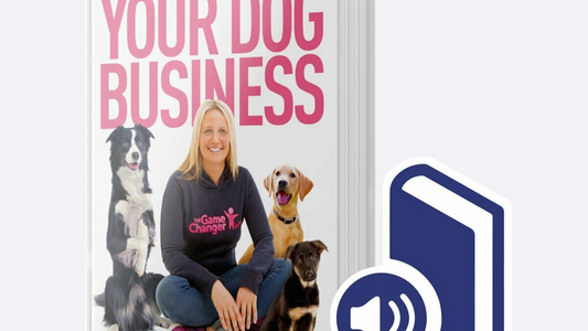 The Action Takers Guide To Your Dog Business Audiobook