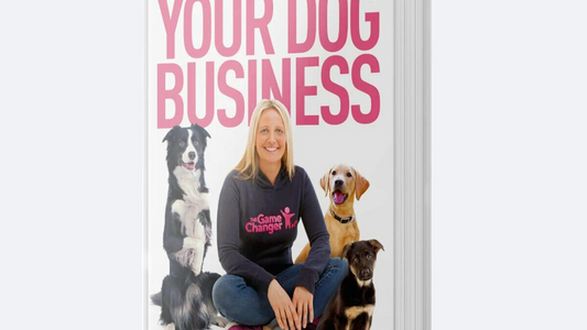 The Action Takers Guide To Your Dog Business