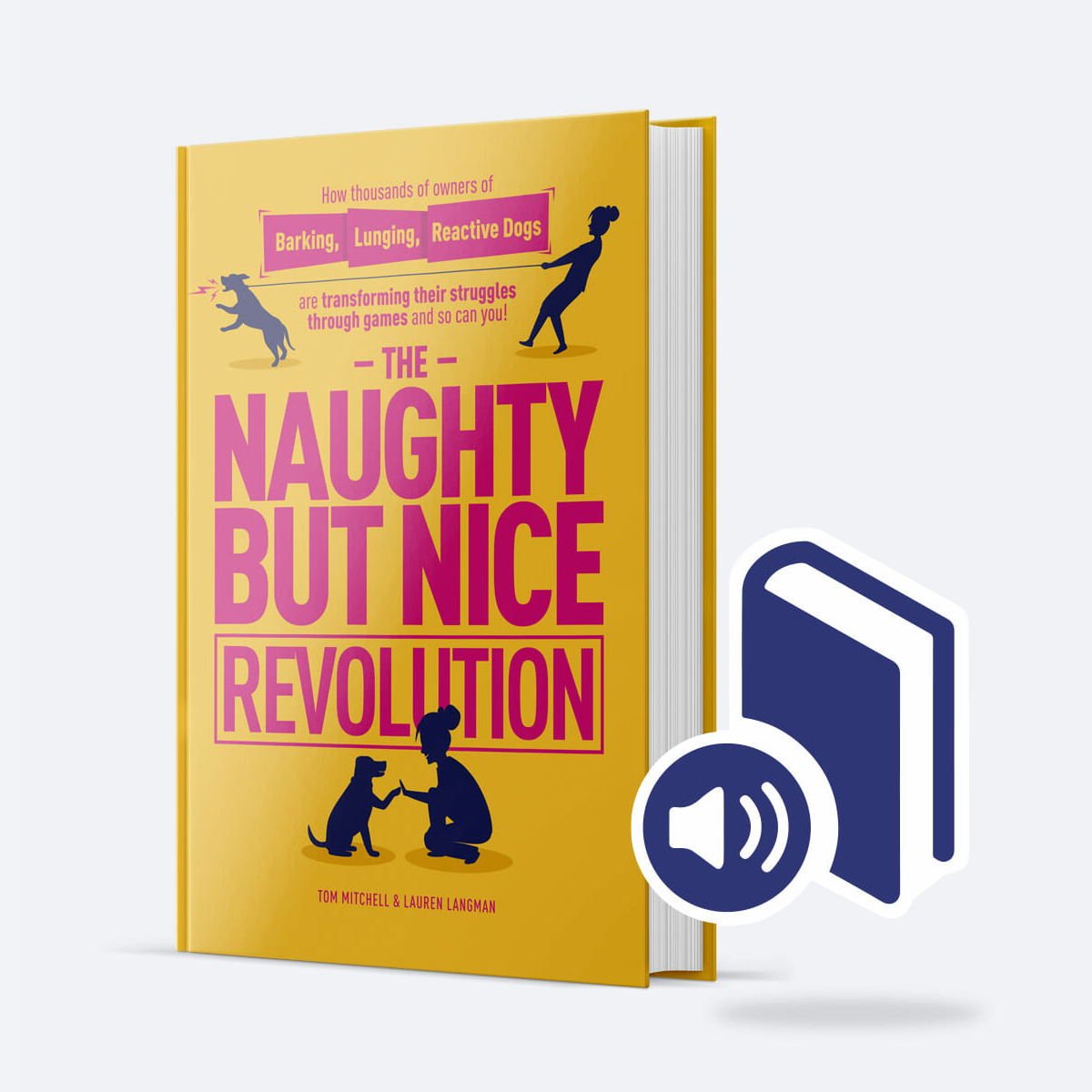 The Naughty But Nice Revolution Audiobook