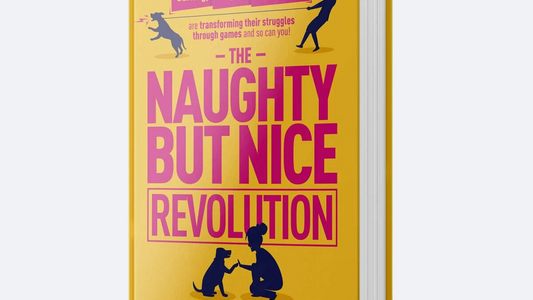 The Naughty But Nice Revolution Book
