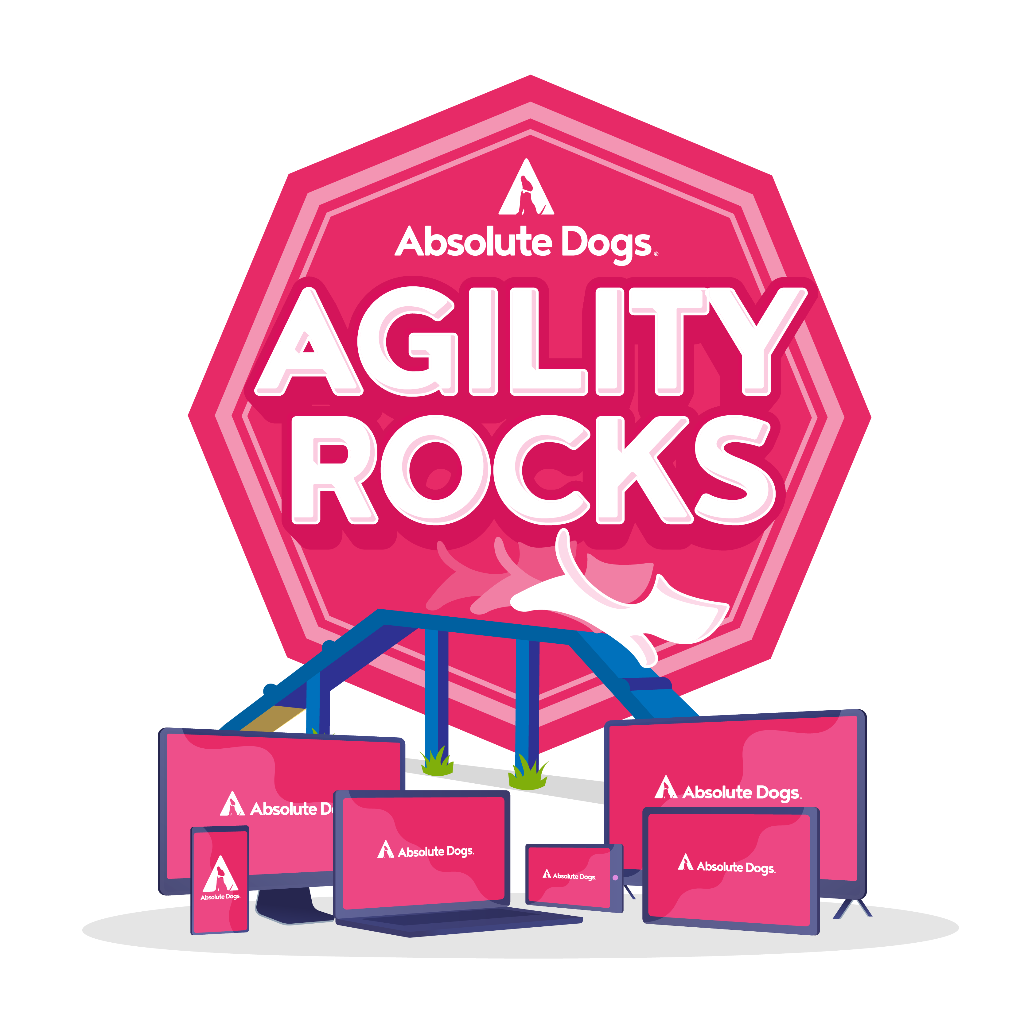 Agility Training with Lauren Langman & Absolute Dogs