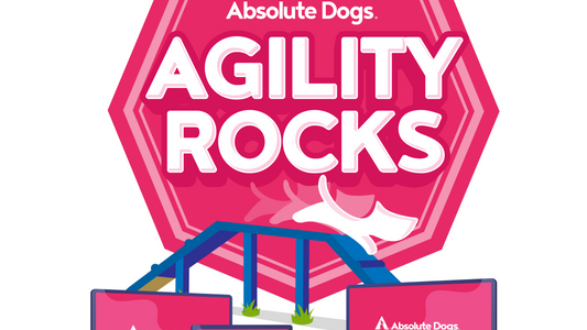 Agility Rocks