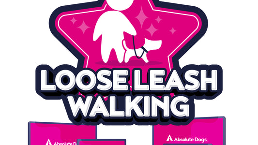 Loose Leash Walking: A Dog Behaviour Buster Workshop