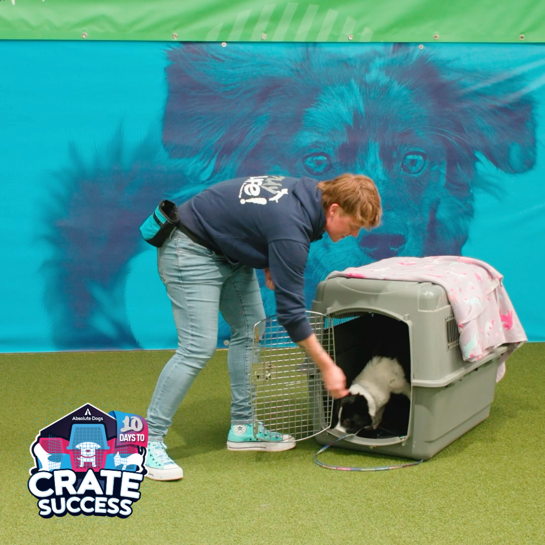 10 Days to Crate Success