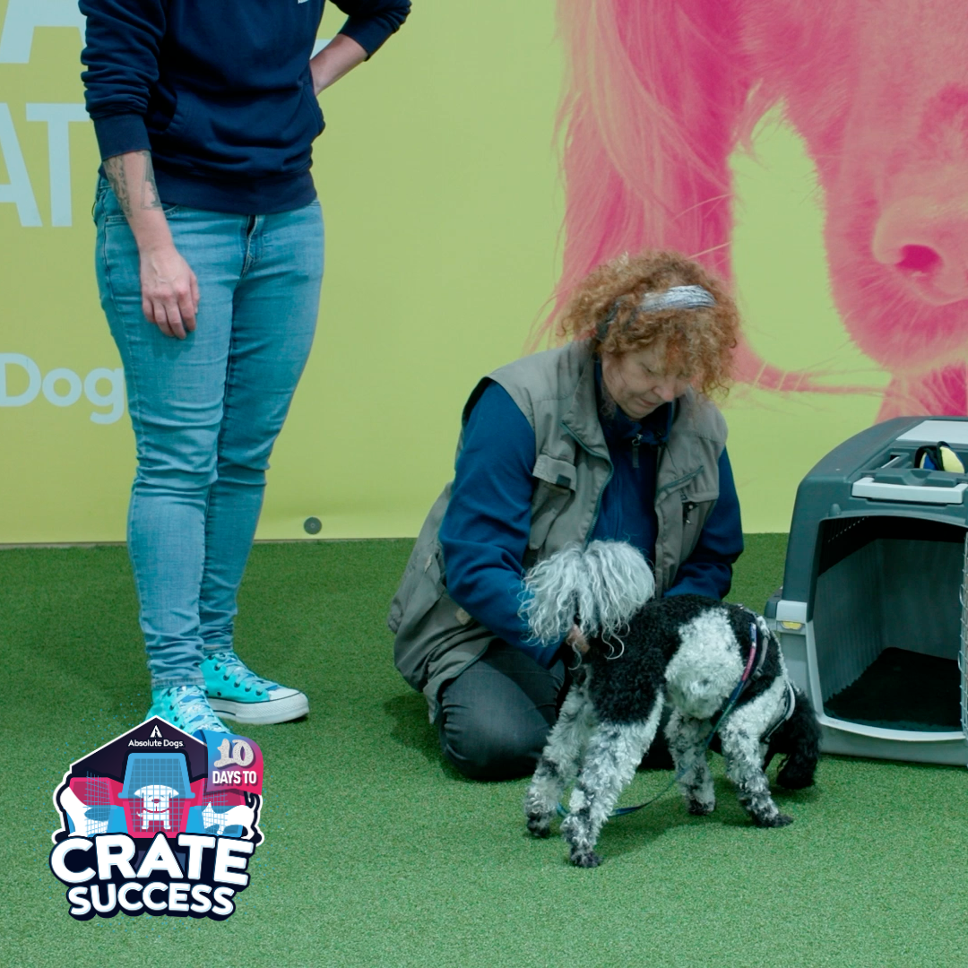 10 Days to Crate Success