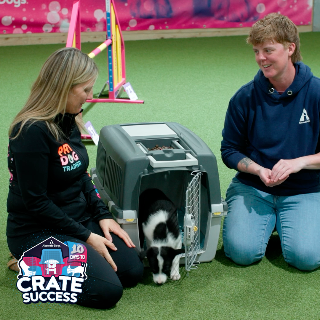 10 Days to Crate Success