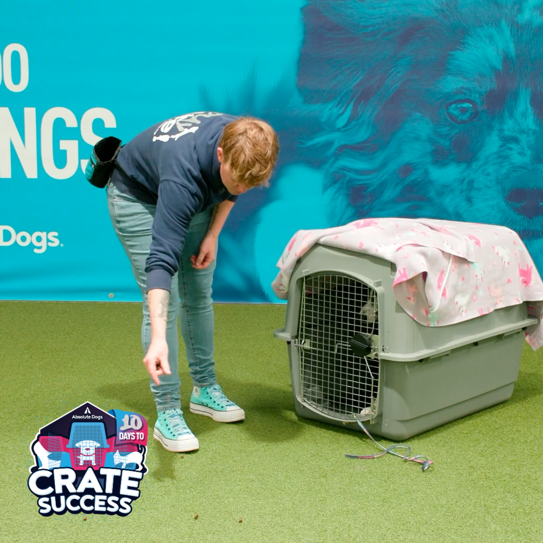 10 Days to Crate Success