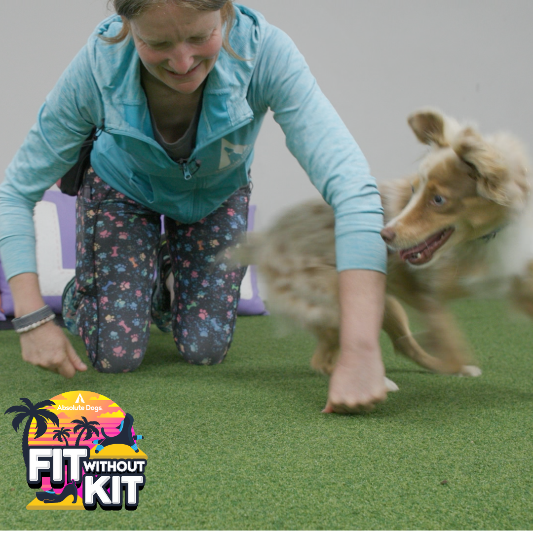 Fit Without Kit