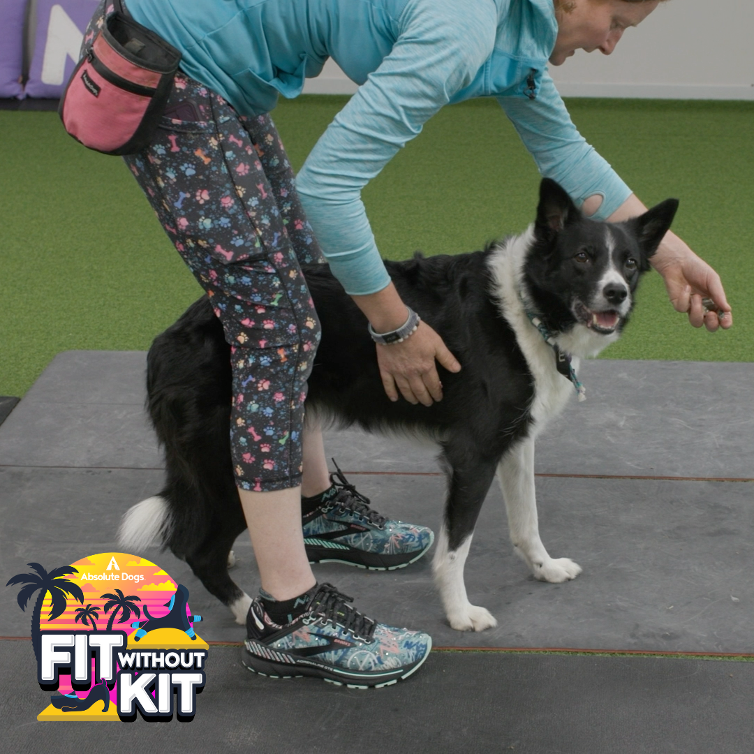 Fit Without Kit