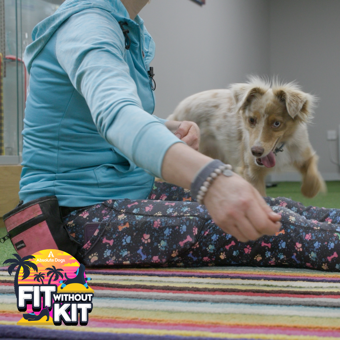 Fit Without Kit