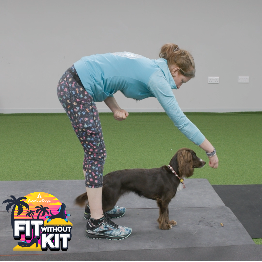 Fit Without Kit