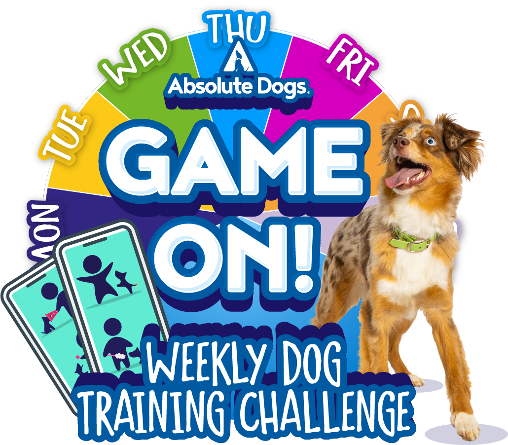 Game On! Weekly Challenge Membership