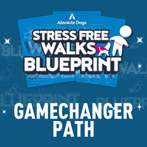 Stress-Free Walks Gamechanger Path