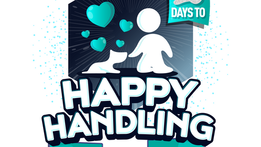 10 Days to Happy Handling
