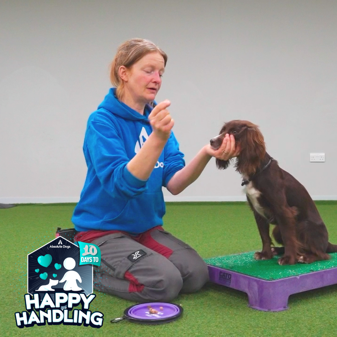 Cooperative Care (includes 10 Days to Happy Handling)