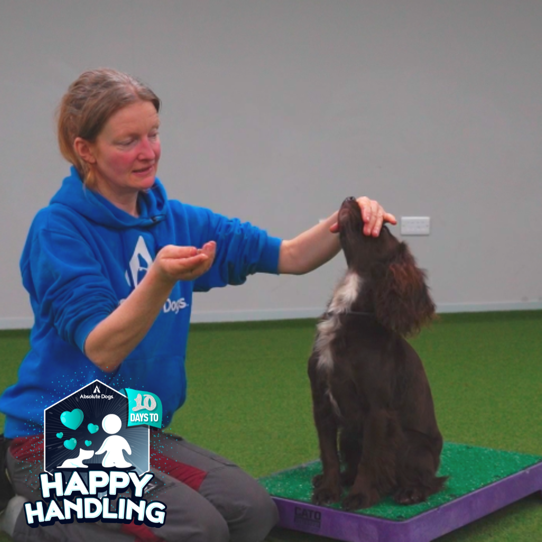 Cooperative Care (includes 10 Days to Happy Handling)