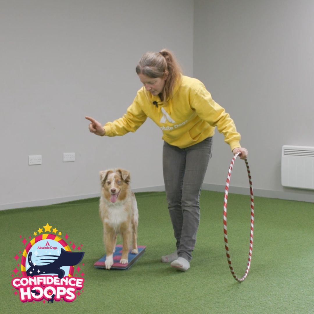 Confidence Hoops