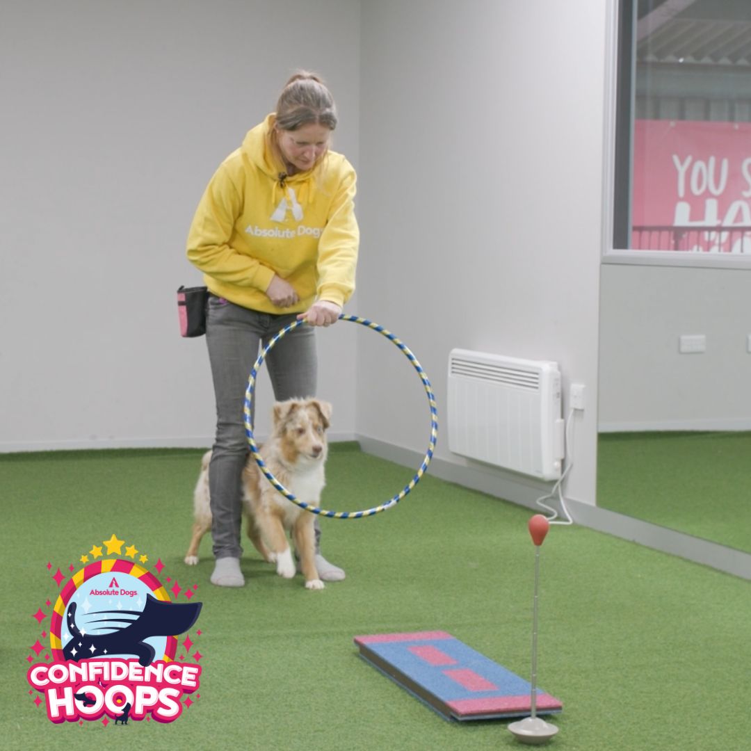 Confidence Hoops